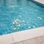 Placeholder: Gypsophila flowers in a sunny swimming pool, polaroid