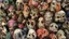 Placeholder: a picture of a dark, comedic, anatomically correct wall of colorful tightly packed skulls of varying sizes and expressions, photo realistic, insanely meticulous, highly detailed, part of a collection of bones on display, 64k, dystopian, vray