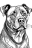 Placeholder: pitbull dog coloring book page