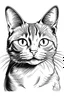 Placeholder: create a very simple image of a cat for colouring book in black and white lines