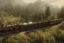 Placeholder: STEAM TRAIN WESTERNFOREST