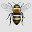 Placeholder: bee character flying with a cap, white background, clean modern design