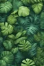 Placeholder: background jungle leaf forest realistic