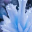 Placeholder: ultra detailed matte painting of many tiny epic fantasy ice flowers and many tiny semi transparent white snowflakes, majestic, intricate, masterpiece, insanely detailed, 4k resolution, cinematic smooth, intricate details , soft smooth lighting, vivid pastel colors, iridescent accents