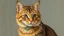Placeholder: Portrait of a cat by Van Gogh