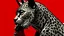 Placeholder: a black and white grotesque man on a red background, folk art, humanoid cheetah, scratching head, slightly abstract, drawn and painted, mark brookes, thick tail, cheetah, rachel wall, struggling, 1 9 6 0 s art, graphic detail, sienna,