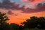 Placeholder: Peach sunset with clouds, and trees