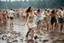 Placeholder: this is woodstock in the mud, people are dancing in light dress, especially women