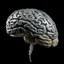 Placeholder: دماغ