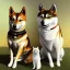 Placeholder: shiba standing next to white cat enlisted in the US army