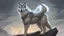 Placeholder: wolf Warrior, D&D,