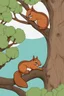 Placeholder: a pair of squirrels in love sleeping snuggling together in a big tree