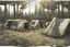 Placeholder: campsite, tents, overgrown, post-apocalyptic, comic book, forest