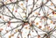 Placeholder: detailed Real Tree Camouflage made of bare branches, fir branches, dried maple leaves, snow and dirt, light drop shadows, white background, seamless repeatable texture camo pattern, muted color