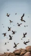 Placeholder: Birds carrying stones in their legs, flying in a clear sky