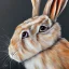 Placeholder: rabbit portrait