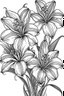 Placeholder: Outline art for coloring page, LILIES WITH STEMS, coloring page, white background, Sketch style, only use outline, clean line art, white background, no shadows, no shading, no color, clear