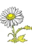 Placeholder: графический рисунок цветка ромашки , прозрачный фон , простые формы , детский стиль