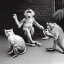 Placeholder: Old photo of monkey with dancing cats