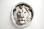 Placeholder: white,background,looking,through,a 3-d, hole,or,window,,a,seeing a lion