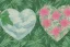 Placeholder: Tropical flowers, realistic heart drawing, crystals, tropical leaves, sacred altar, Fantasy home, cute animal.