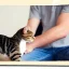 Placeholder: A man petting the cat