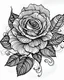 Placeholder: realistic rose tattoo idea, line art, background, vector, svg, black outline on white background, leave plenty of white space beetween lines for coloring, tattoo style, tattoo idea