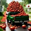 Placeholder: Create a picture of crates of tomatoes falling from a green pickup truck driving down a country road, the tomatoes are scattered on the road and on the sides of the road and create a spectacular red carpet of tomatoes, tomato paste and a splatter of tomatoes