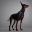 Placeholder: anthropomorphic doberman in standing pose photography