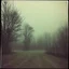 Placeholder: Outskirts, creepy, trees, blurry, fog, polaroid