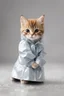 Placeholder: baby cat in raincoat. Chibi, Photograph, Canon DSLR, Tilt - shift, white background, high definition, Complete and coordinated composition, 8k