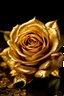 Placeholder: golden rose