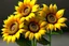 Placeholder: 3d,sunflowers