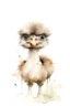 Placeholder: Create an adorable simplistic watercolor illustration of a baby ostrich. The ostrich should have a friendly expression, standing with legs wide open, infusing the illustration with a sense of liveliness and charm characteristic. Keep the design simple and elegant.