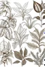Placeholder: dibujo a mano alzada de plantas tropicales
