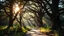 Placeholder: A sunlit forest path winding through tall, ancient oak trees with sunlight filtering through the leaves, casting dappled shadows on the forest floor. The path is lined with wildflowers and ferns, and the air is filled with the scent of pine and earth. Calm serene atmosphere, gentle fantasy, beautiful magic. Award-winning photograph, exquisite realism.