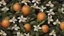 Placeholder: dark backround,12K,a couple of oranges,a few white neroli flowers,