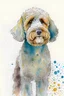 Placeholder: abstract watercolour of a cockapoo dog’s head in the style of Valerie Davide with bifurcated circles and pencil lines
