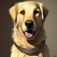 Placeholder: a cute golden retriever , dramatic, dramatic lighting, volumetric lighting, hyperrealism, 8k, high quality, photorealistic, lot of details