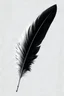 Placeholder: one feather quill for writing, the color of the feather should be split in hair: the left side of the feather white and the right side of the feather black, done in a skyrim art style