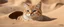 Placeholder: rocket ship sand cat captain in burrow