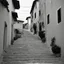 Placeholder: Calle de un pueblo de una isla italiana en verano, con escalinata, fotografía real, fotografía realizada con cámara Leica y objetivo de 50 mm, siguiendo estilo de la serie 'Ripley' emitida en Netflix, fotografía en blanco y negro, virada tonos años 50