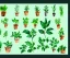 Placeholder: Vector plants and herb set illustration. Watercolor illustration color