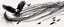 Placeholder: 2 birds being chased through the air by an eagle, they each trail a graphic line behind them, and lost feathers, black on white vector