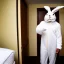 Placeholder: a man in a rabbit costume, hotel room