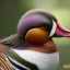 Placeholder: pixar style, volumetric summer garden environment and background, realistic painting of an mandarin duck, looking excited, volumetric lighting, dramatic lighting, detailed digital painting, extreme dense and fine fur, anime, ornate, colour-washed colors, elegant, small minutiae, tiny features, particulars, centered, smooth, sharp focus, renderman gofur render, 8k, uhd, detailed eyes, realistic shaded volumetric lighting, sunlight caustics, backlight, centered camera view