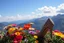 Placeholder: beautiful heels full flowers colorfull ,blue sky pretty clouds ,some strange flowers with love sumbol ,wonderfull mountains at distance