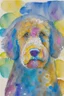 Placeholder: abstract watercolour of the head of bernadoodle dog in the style of paul klee with circles of colour and pencil outlines