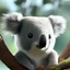 Placeholder: universe koala happy floating