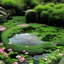 Placeholder: Round pond with lots of water, moss-covered stones all around and the water has a delicate pink shimmer, a few delicate pink flowers on the stones and a small waterfall